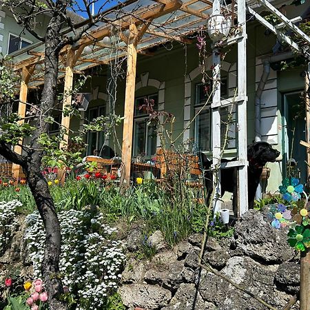 Villa Kuschmann Брашов Екстериор снимка