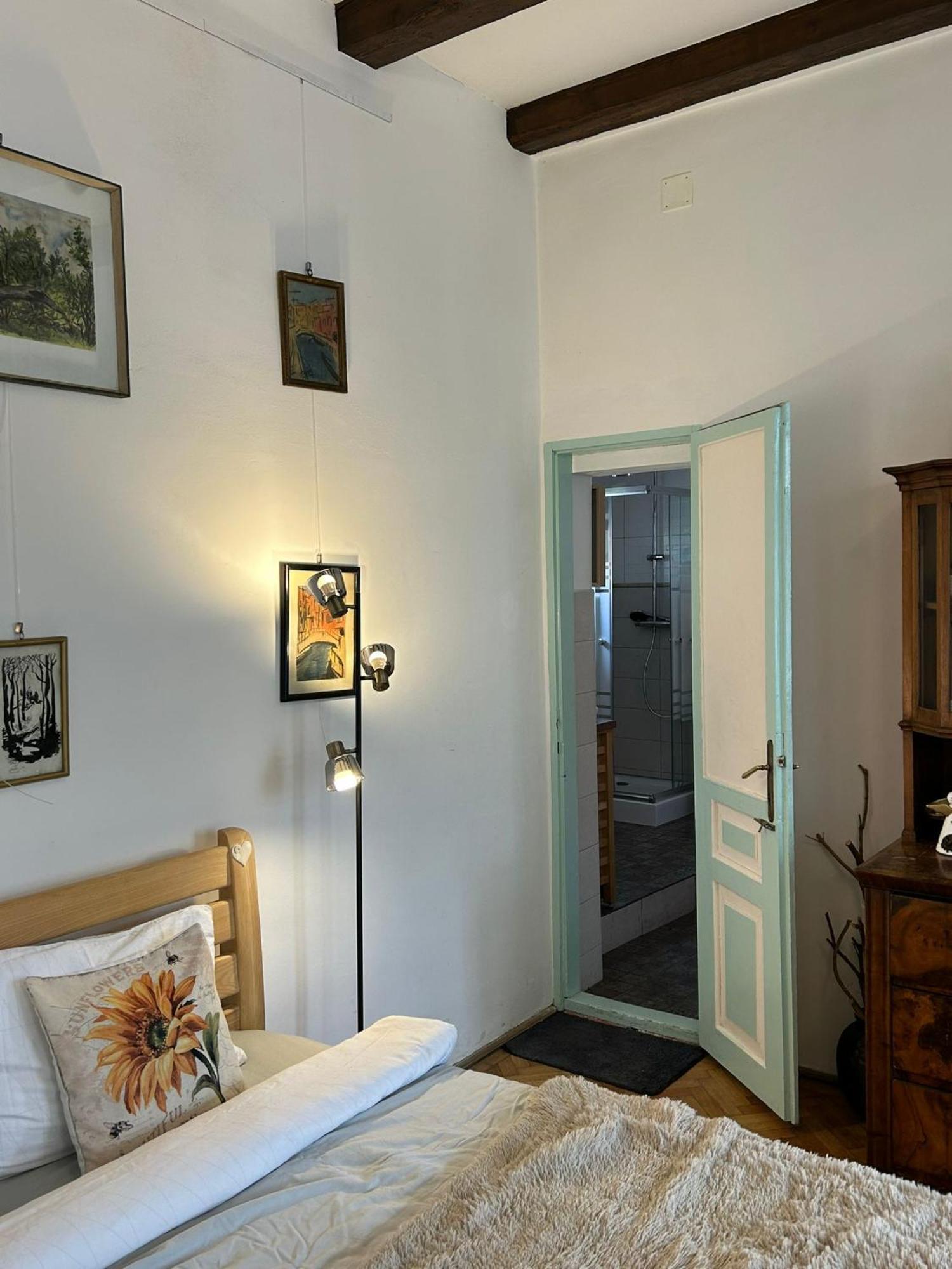 Villa Kuschmann Брашов Екстериор снимка